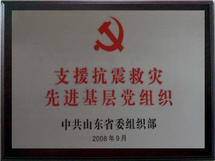 支援抗震救災先進(jìn)基層黨組織.jpg