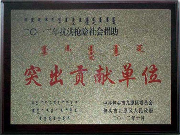 社會(huì )捐助突出貢獻單位.jpg